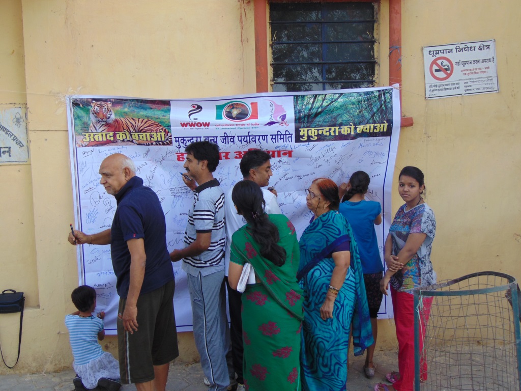 “टी-24 उस्ताद”